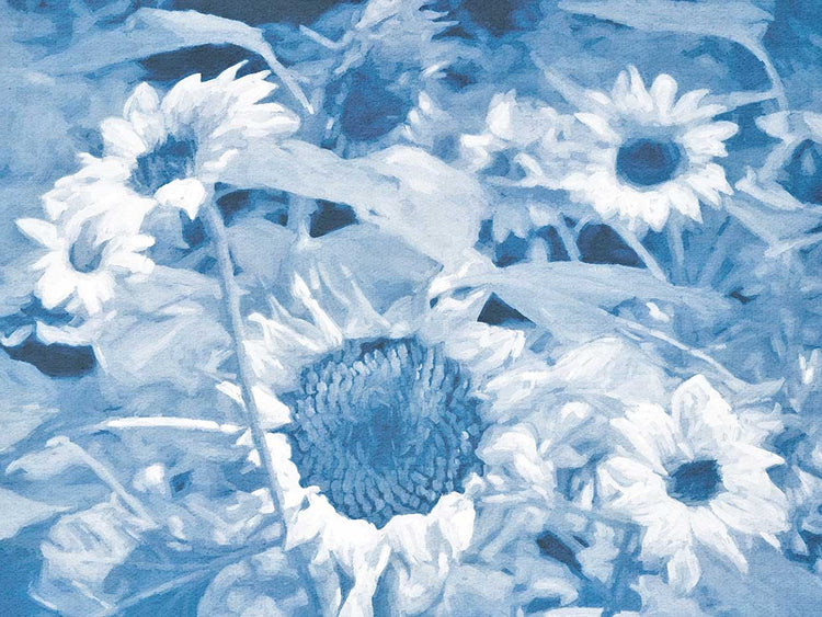 Girasoles al anochecer Lienzo