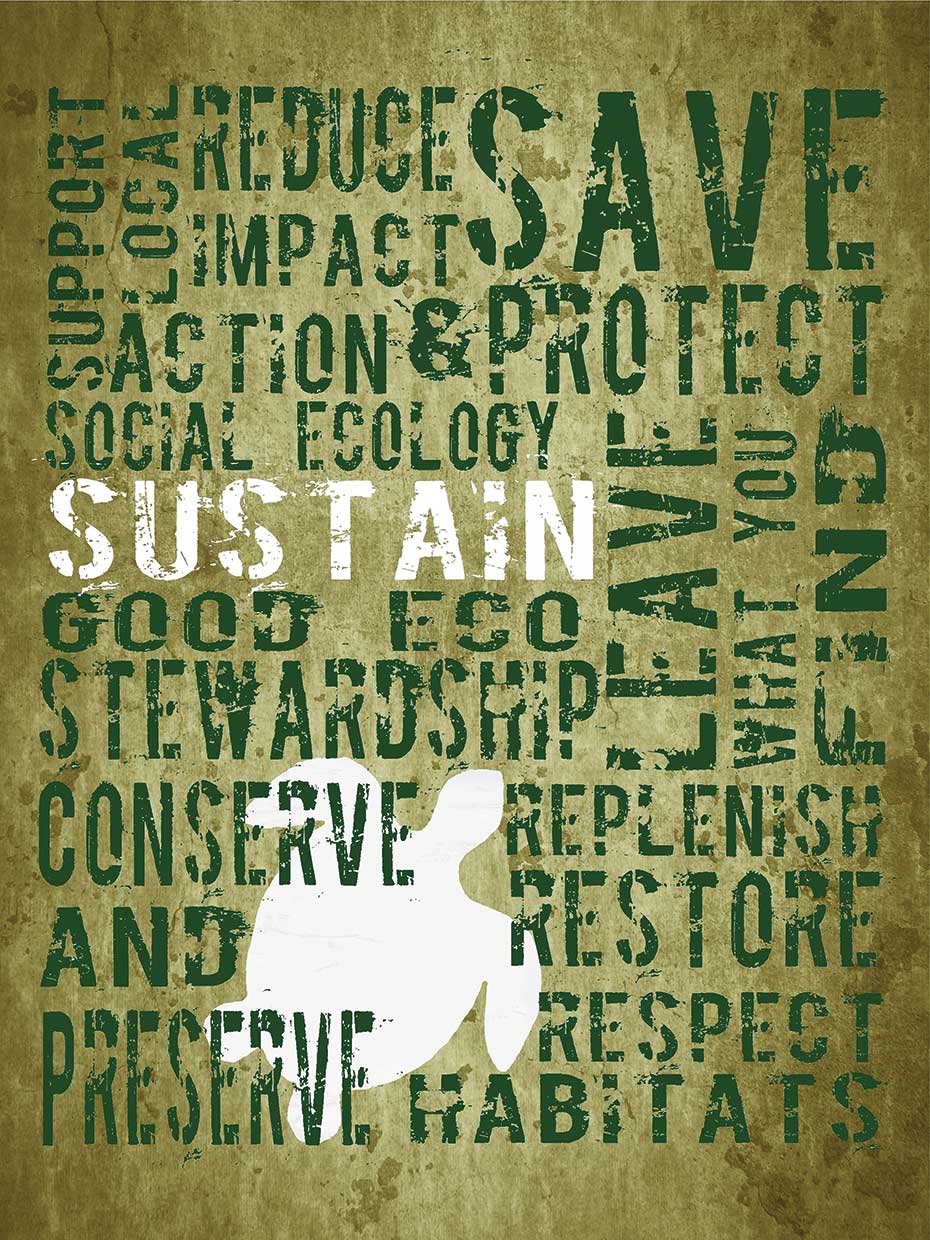 PLAY Sustain Turtle