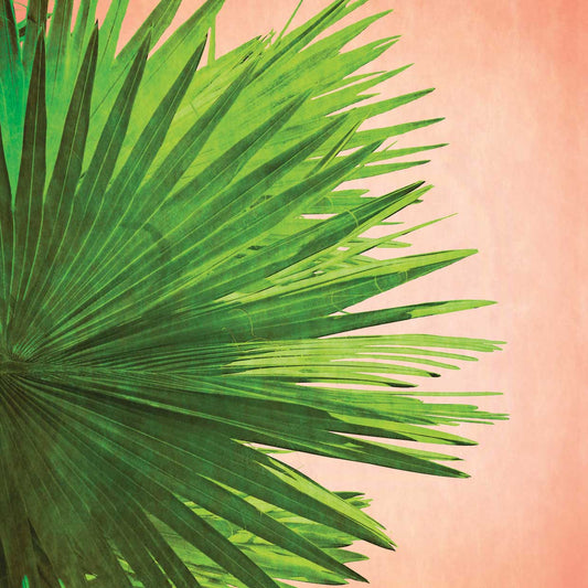 Palm Frond on pink Canvas Print