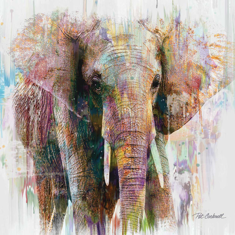 Elefante 1 Lienzo