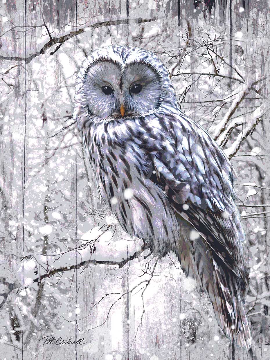 Owl