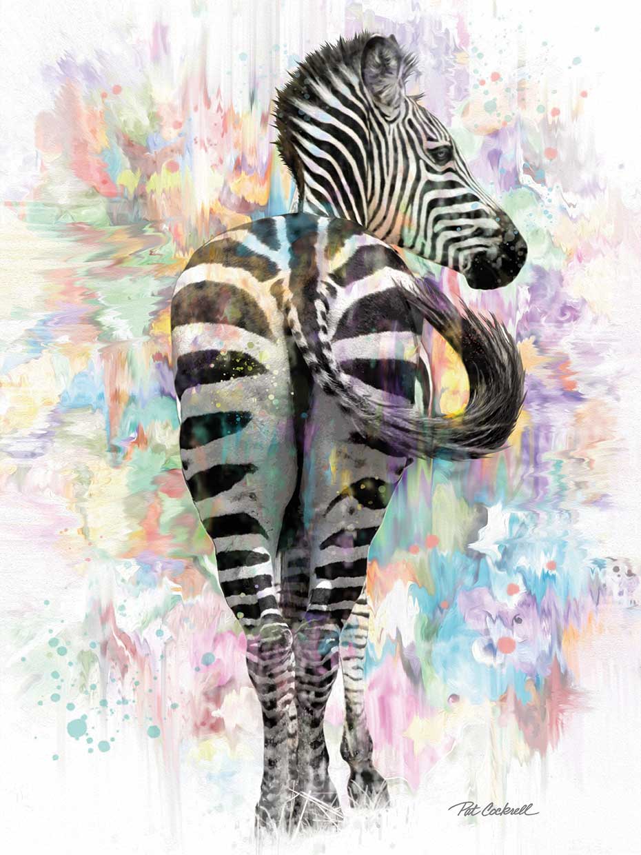 Zebra 3