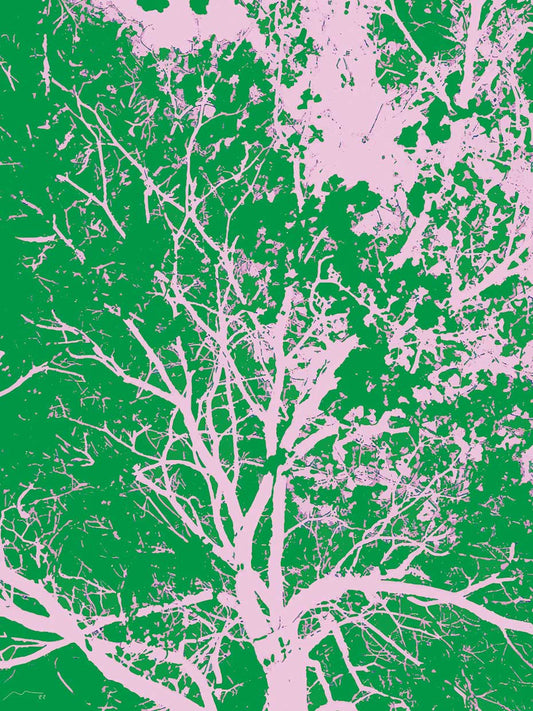 Photo Tree 2 Canvas Print