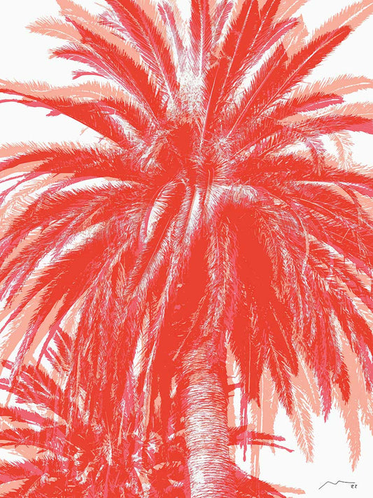Get This Palm 2 Canvas Print