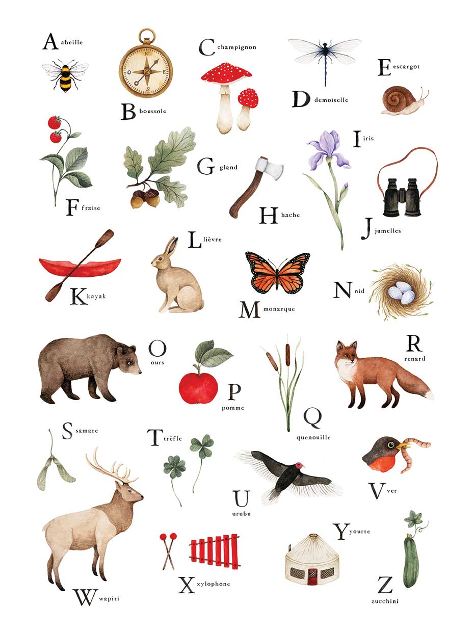 FRENCH Alphabet Poster