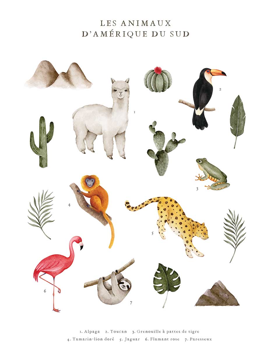 FRENCH South America