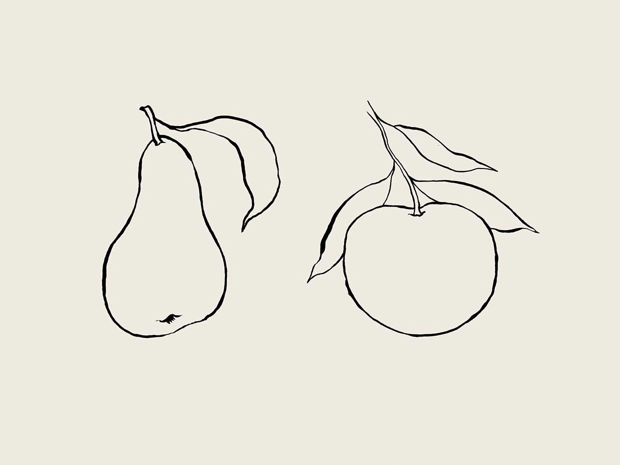 Line Art Fruits