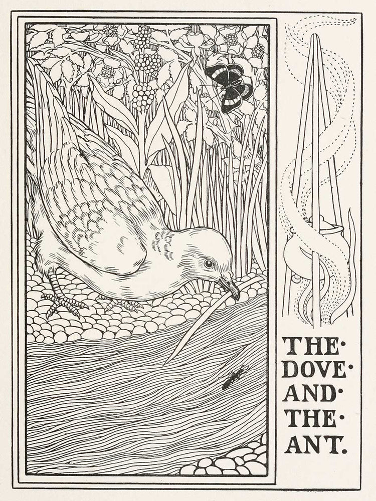 La paloma y la hormiga (1900) Lienzo