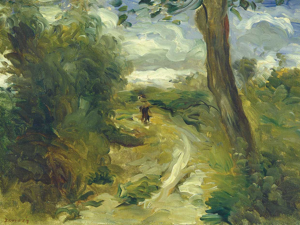 Landscape Between Storms