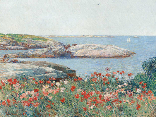 Poppies Isles of Shoals Canvas Print