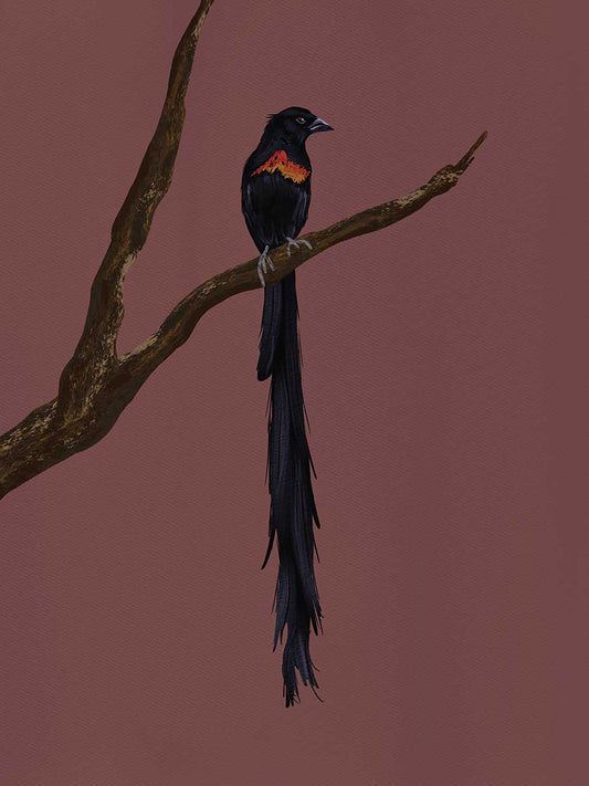 Bird 5 Canvas Print