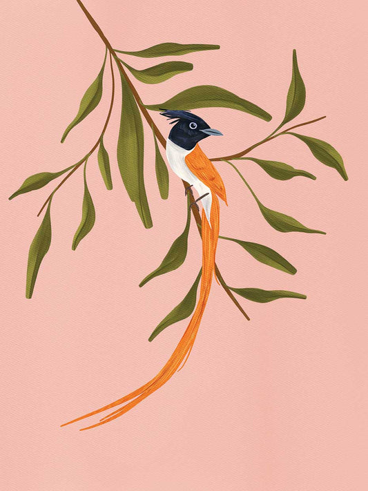 Bird 7 Canvas Print