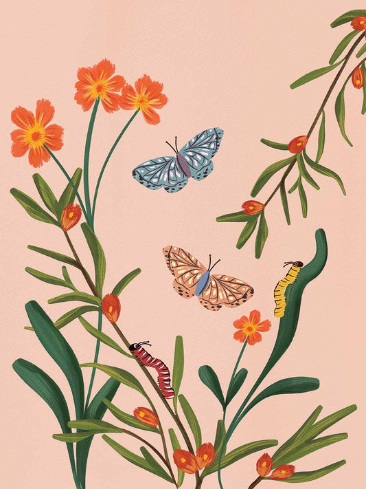 Butterflies 1 Canvas Print