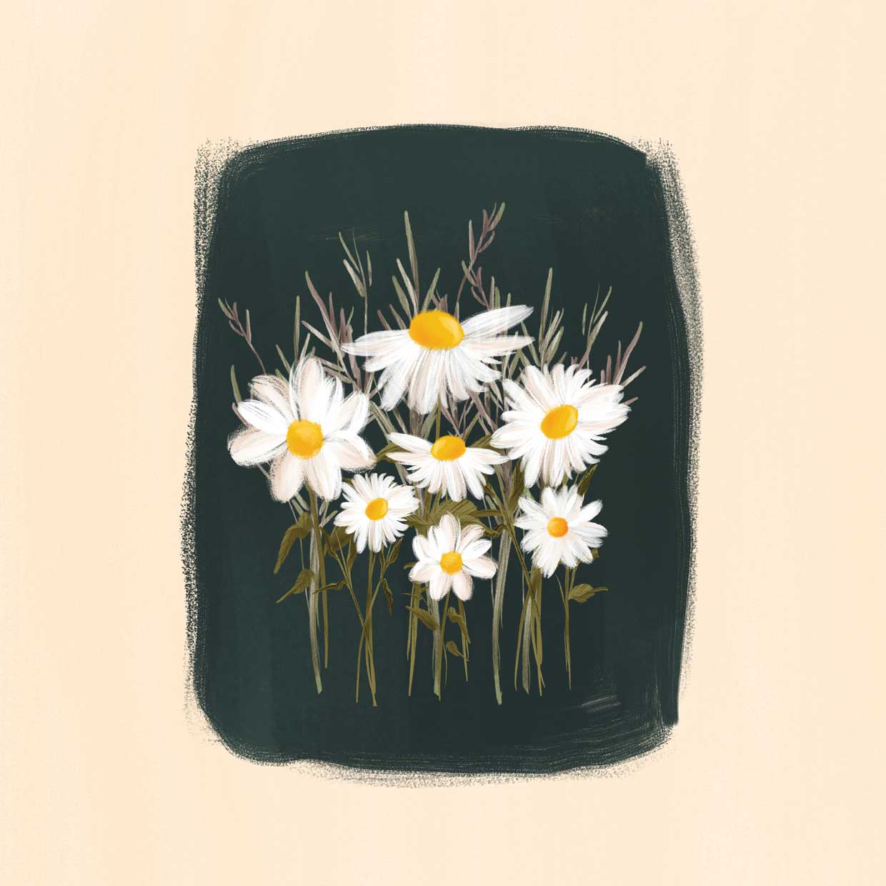 Elena's Daisies