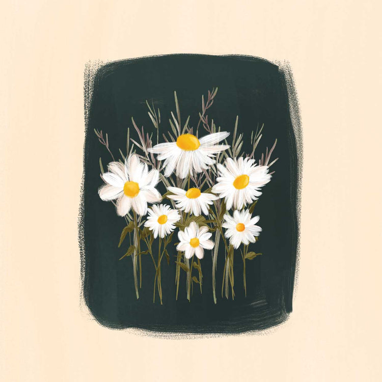 Elena's Daisies