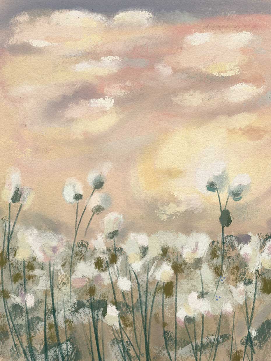 Meadow 1