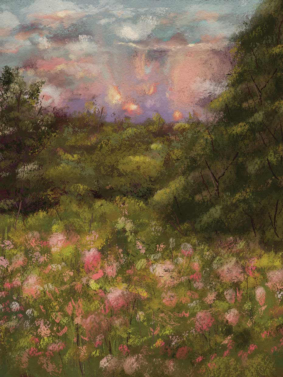 Meadow 2