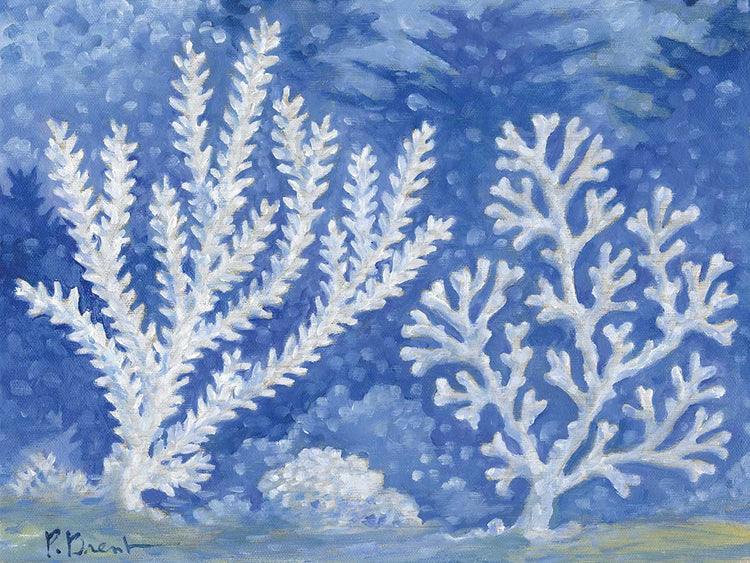 Impressions of Coral II – Horizontal