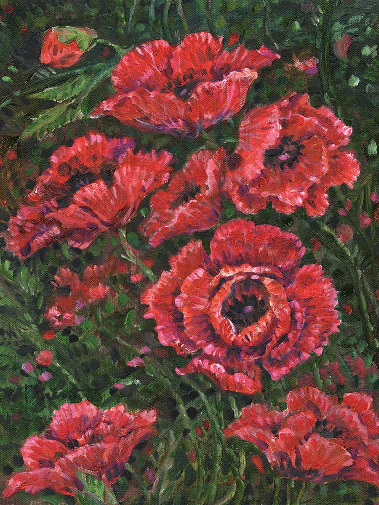 Impressions of Poppies