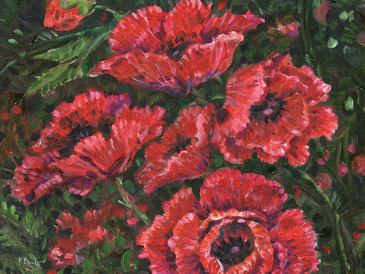 Impressions of Poppies Horizontal I Canvas Print