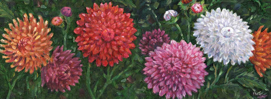 Impressions of Dahlias Horizontal III Canvas Print