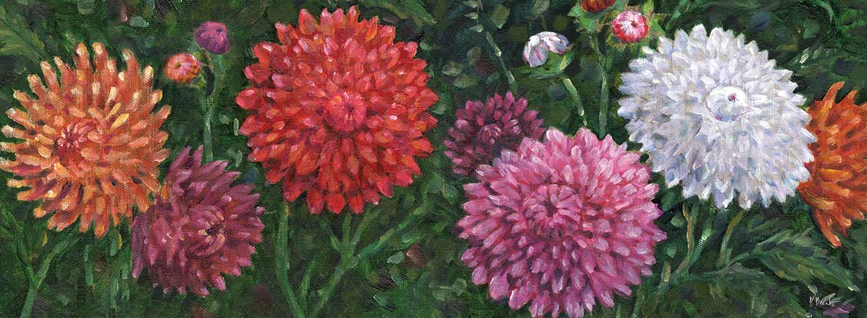 Impressions of Dahlias Horizontal III