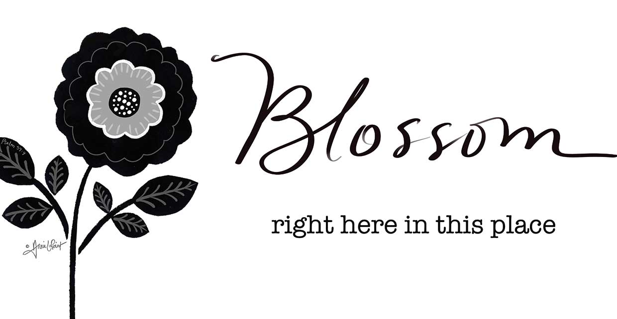 Blossom