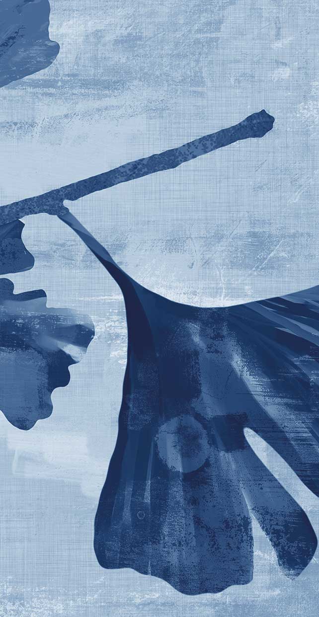 Ginkgo Branch in Blue III