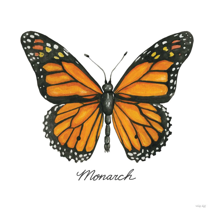 Monarca Lienzo