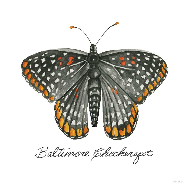 Punto de ajedrez de Baltimore Lienzo
