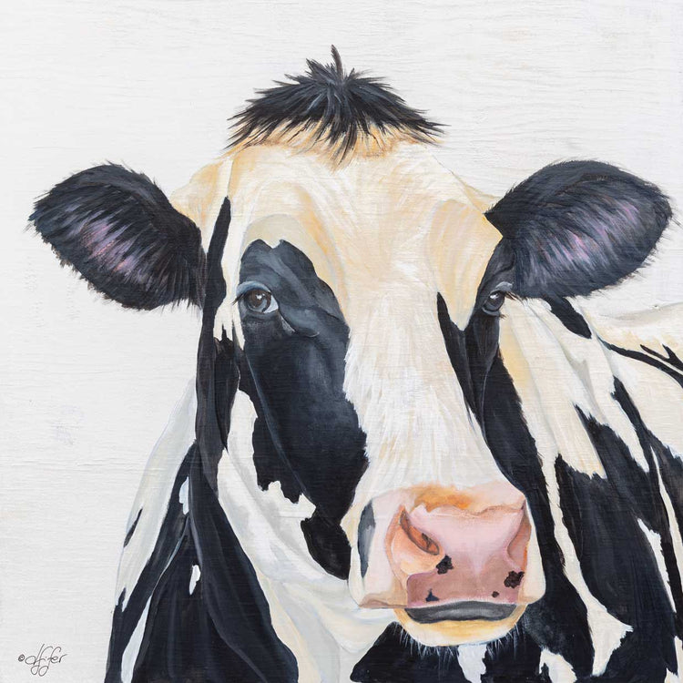 Holstein Cow