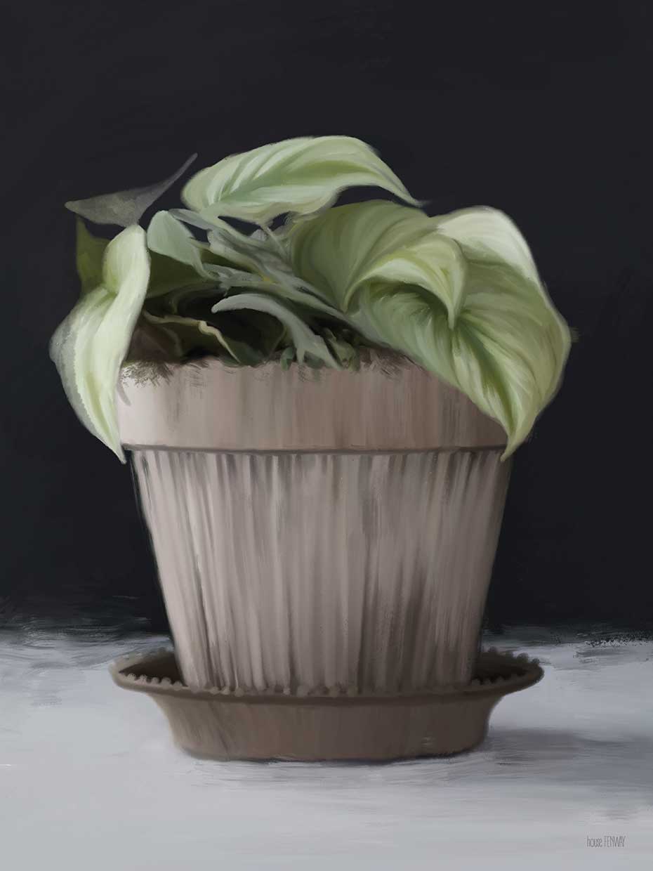 Farmhouse Philodendron