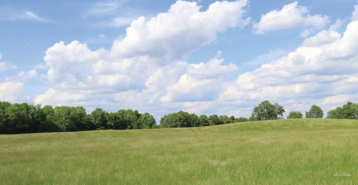 Summer Fields