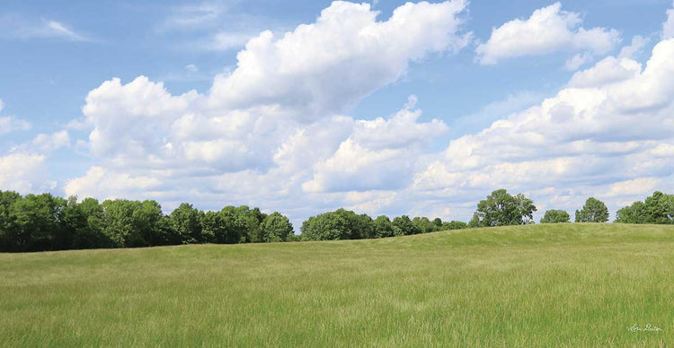 Campos de verano Lienzo