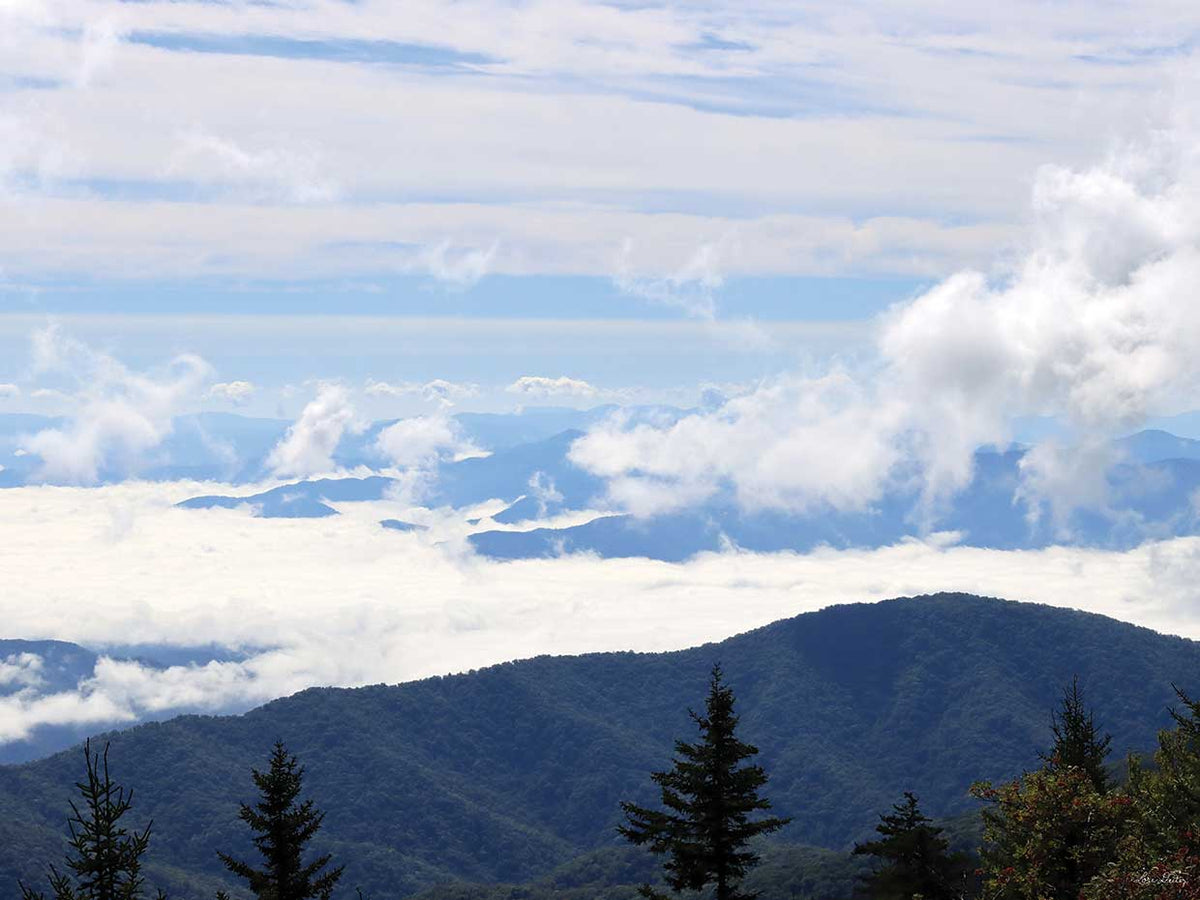 Smoky Mountain High
