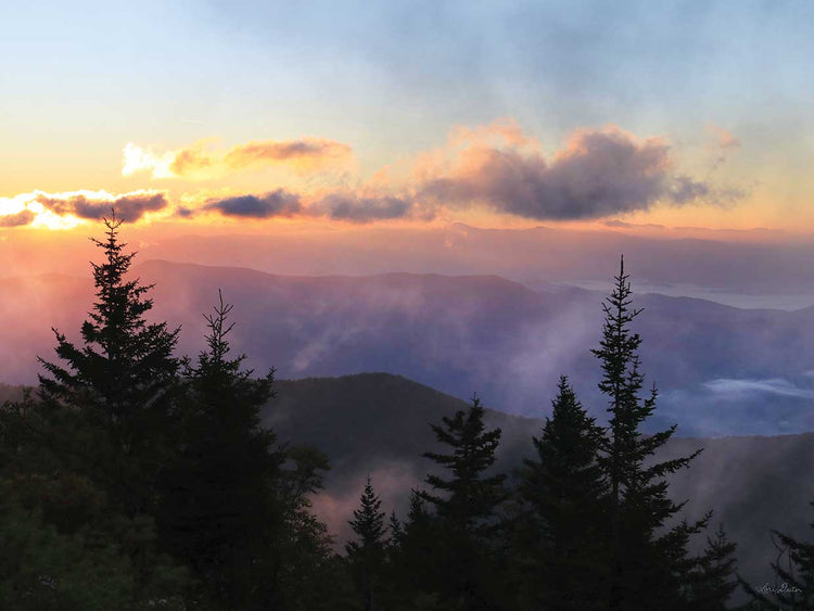 Foggy Mountain Sunrise