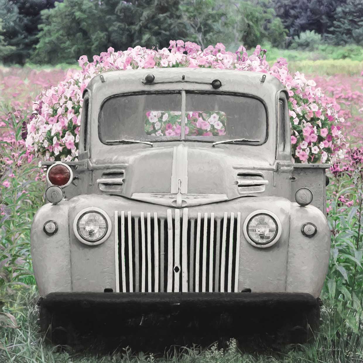 Flowers for Everyone