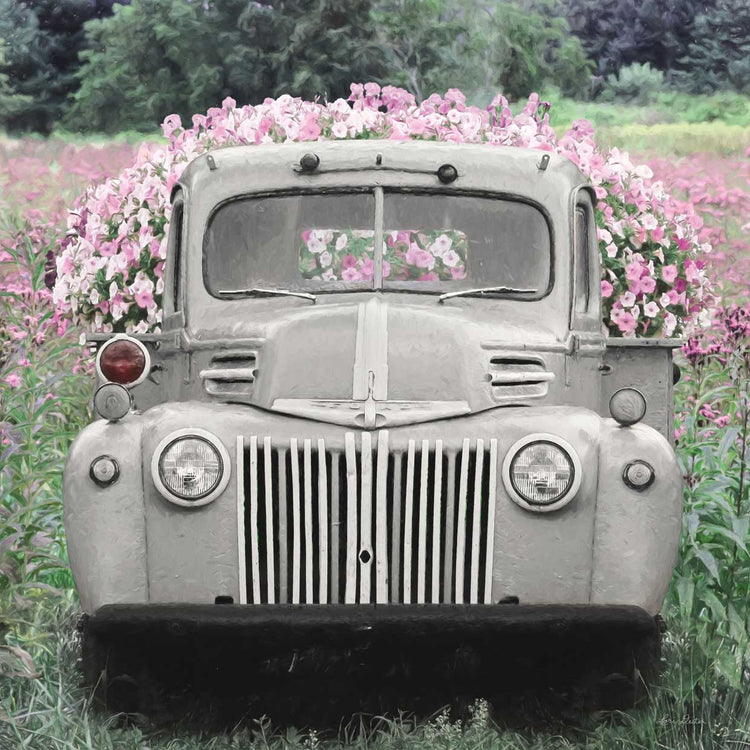 Flowers for Everyone