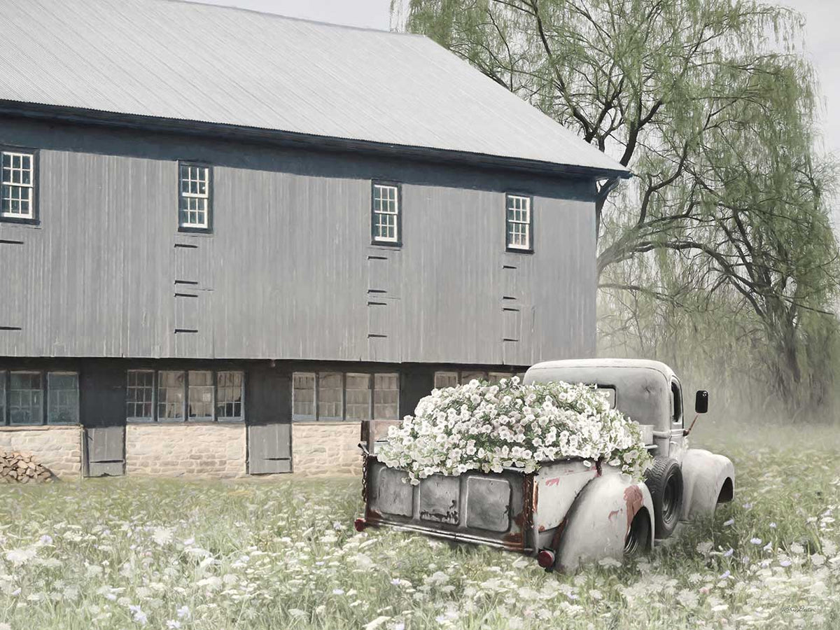 Barn Daze