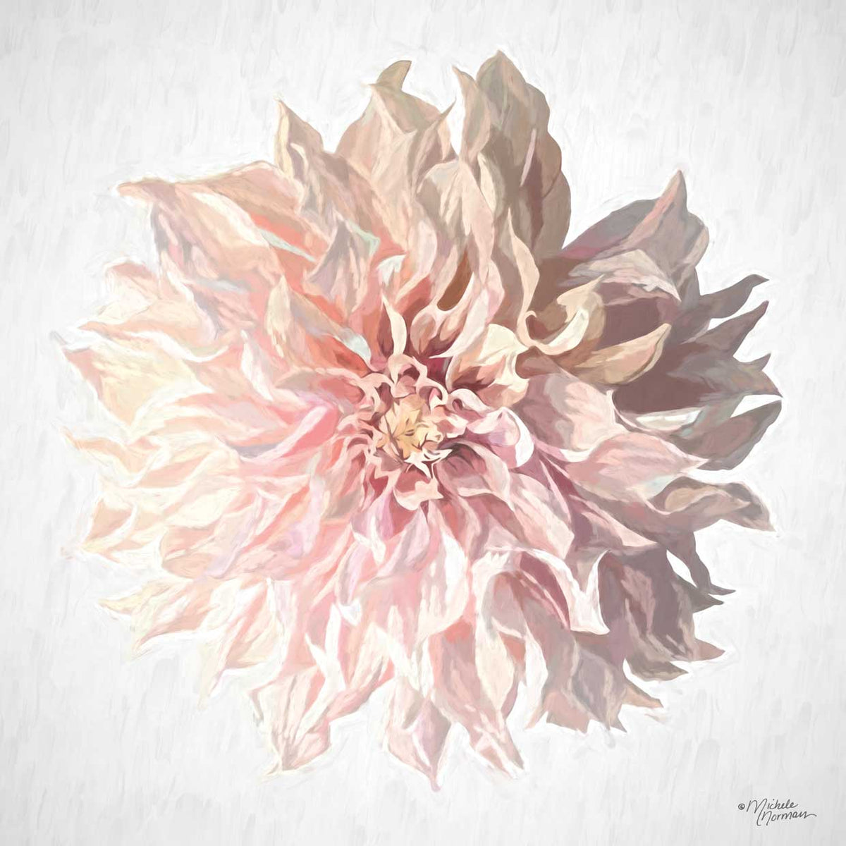 Sweet Dahlia