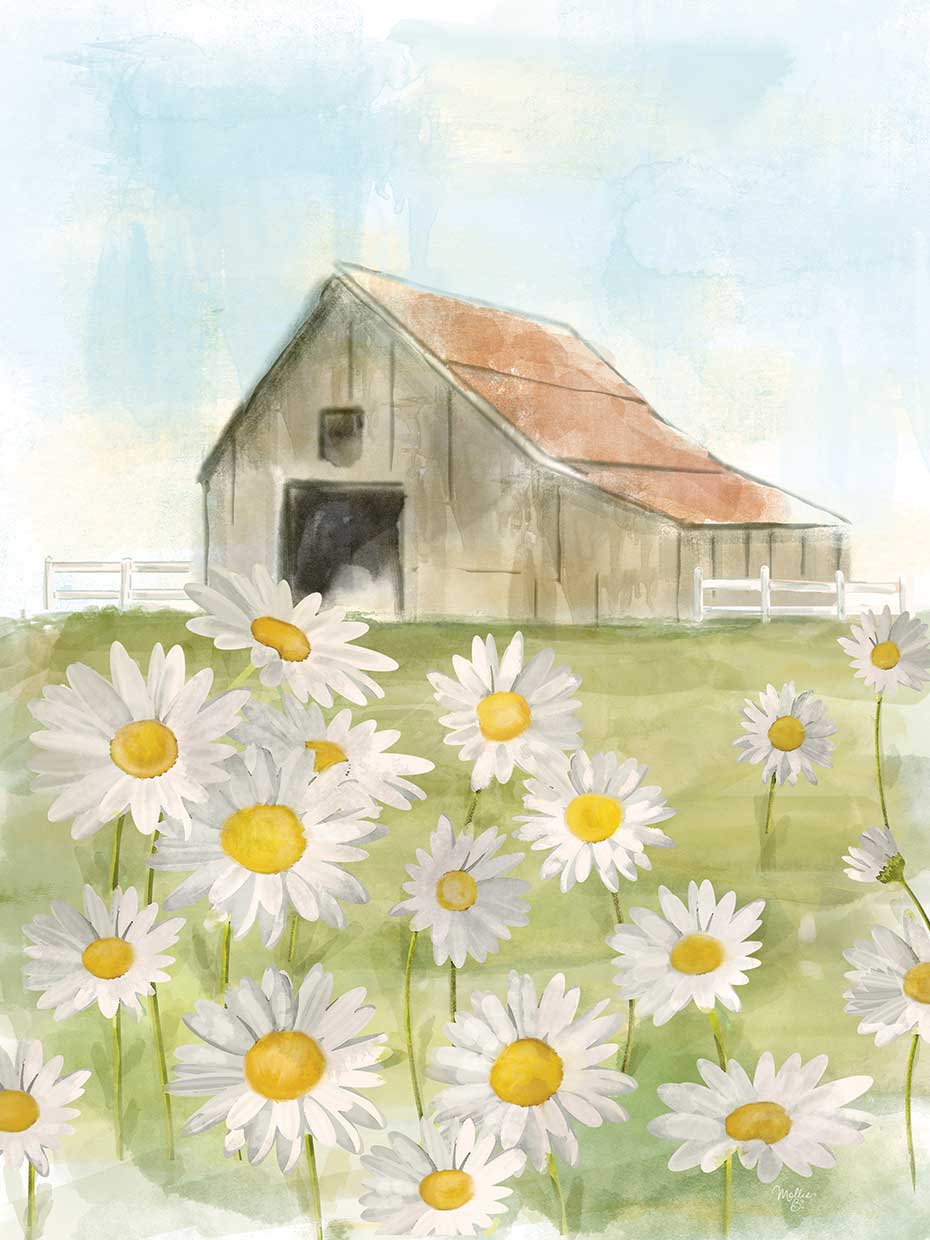 Field of Daisies