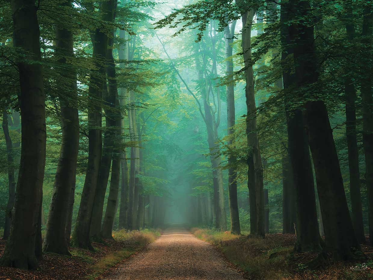 Road of Mysteries