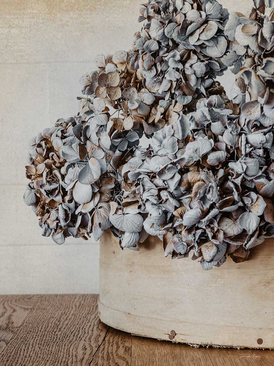 Jennifer Rigsby's Rustic Hydrangea Canvas Art Prints | Fine Art Canvas