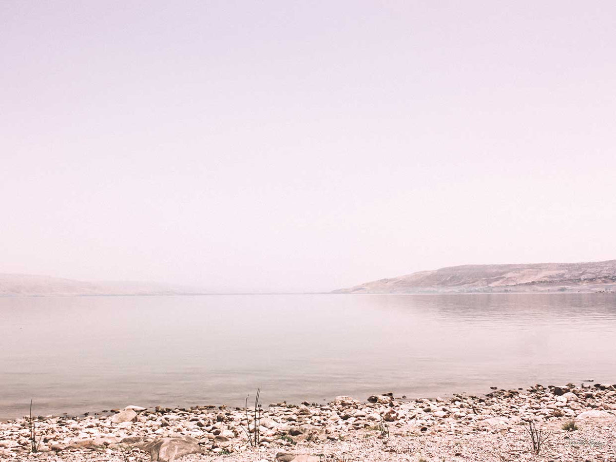 Pastel Sea I
