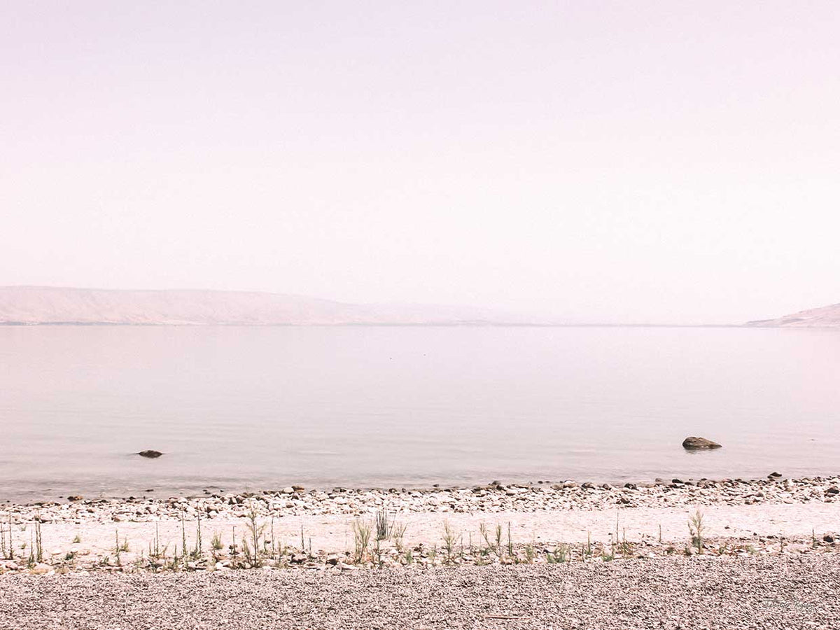 Pastel Sea II