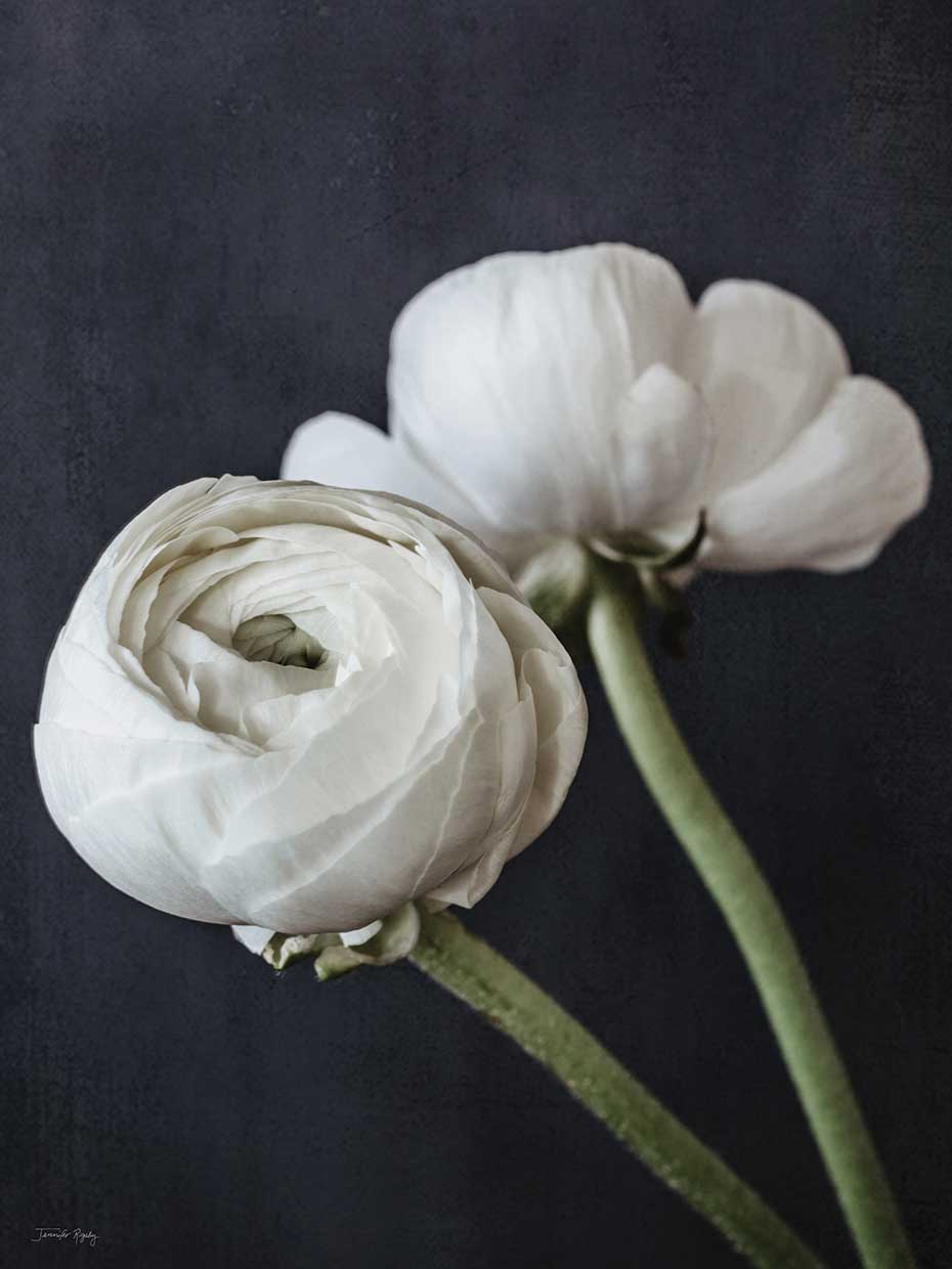 Refined Beauty I