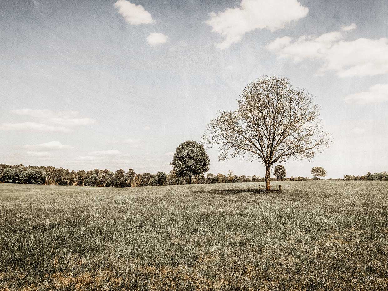 Jennifer Rigsby's Together in the Fields I Canvas Art Prints | Fine Art ...