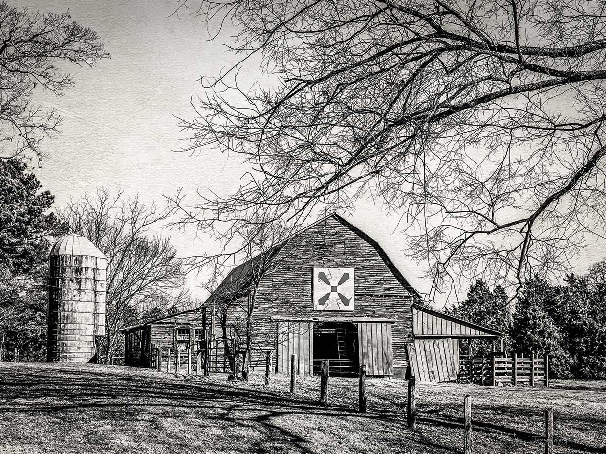 Jennifer Rigsby's At Home in the Barn Canvas Art Prints | Fine Art Canvas