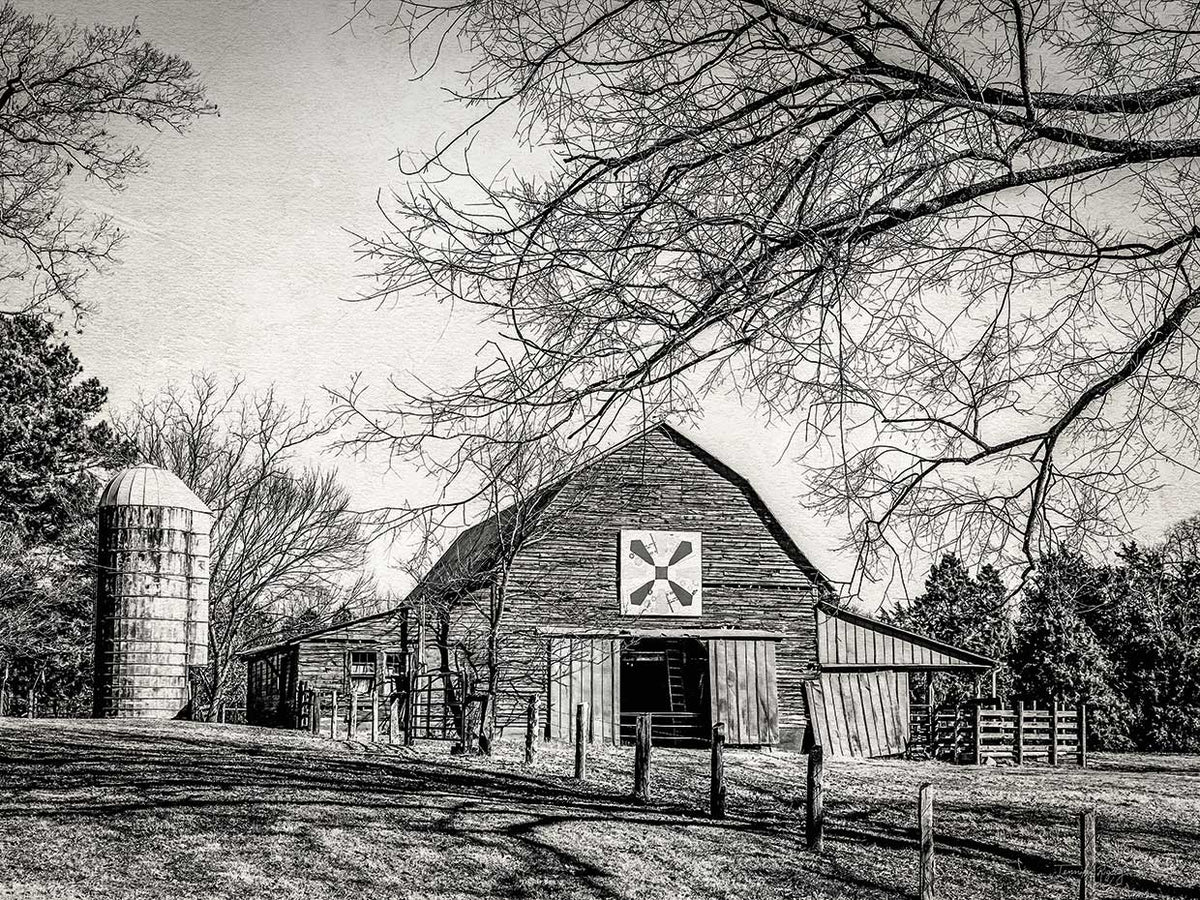 At Home in the Barn