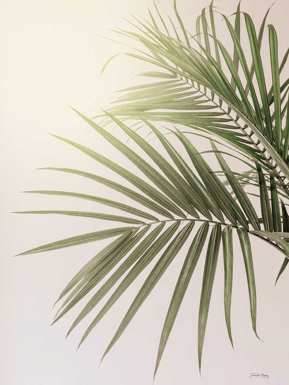 Sunkissed Palm